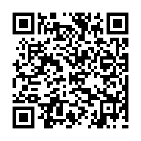 QR code for LIG 339