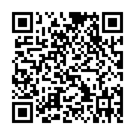 QR code for plate LIM 183