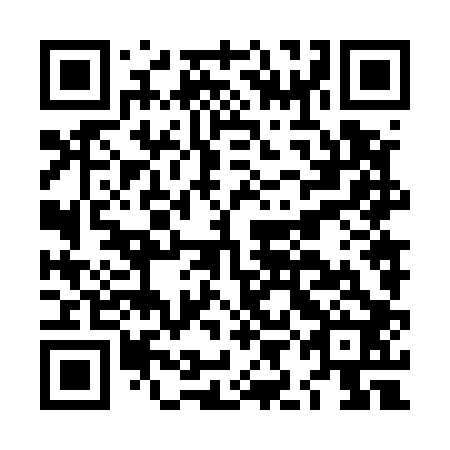 QR code for plate LIN 502