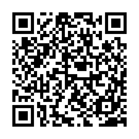 QR code for LIR377
