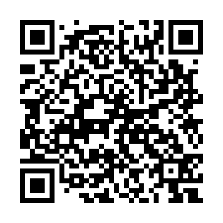 QR code for LIS 133