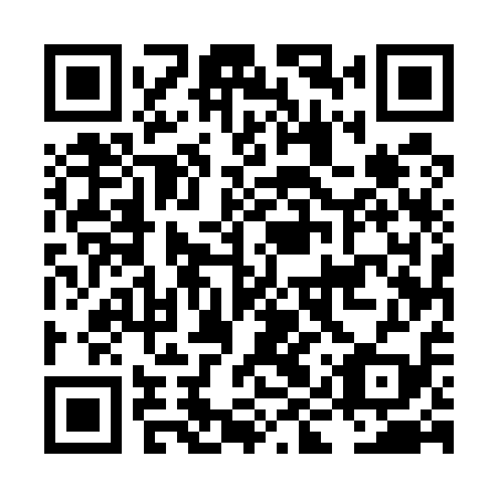 QR code for LIU 519