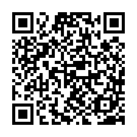 QR code for LIX 541