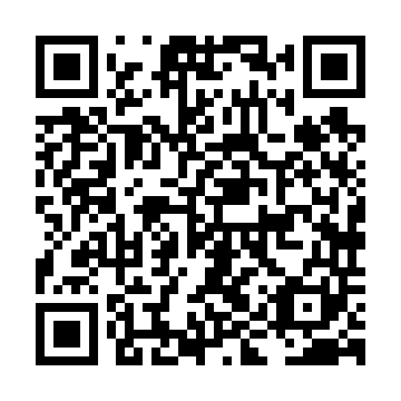 QR code for plate LIX 641