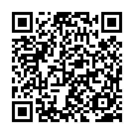 QR code for LIZ 465