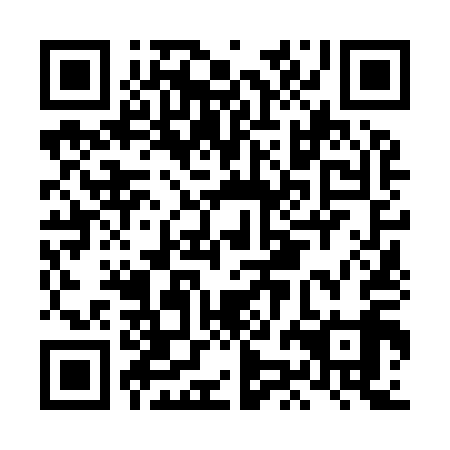 QR code for LJN 919
