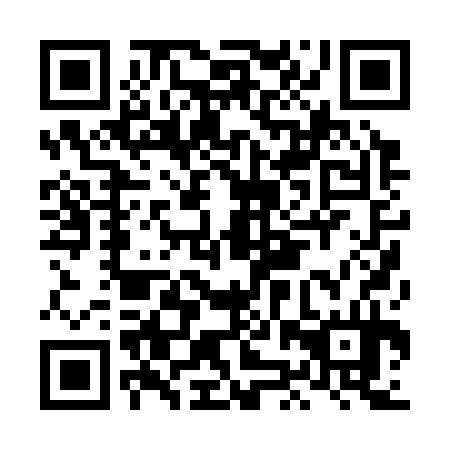 QR code for plate LJP 334