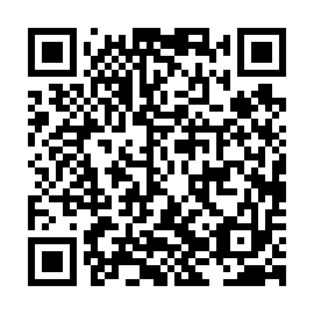 QR code for plate LJP 613