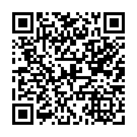 QR code for LJV 383