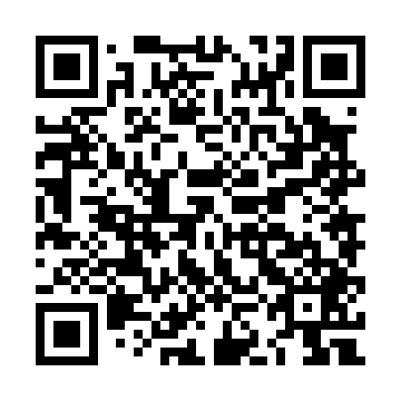 QR code for plate LKN 049