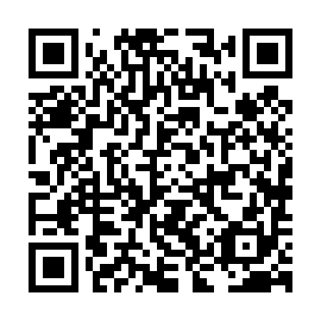 QR code for plate LKX 490
