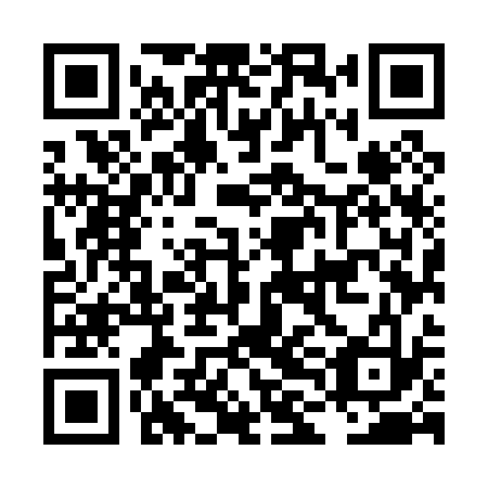 QR code for LLM 033