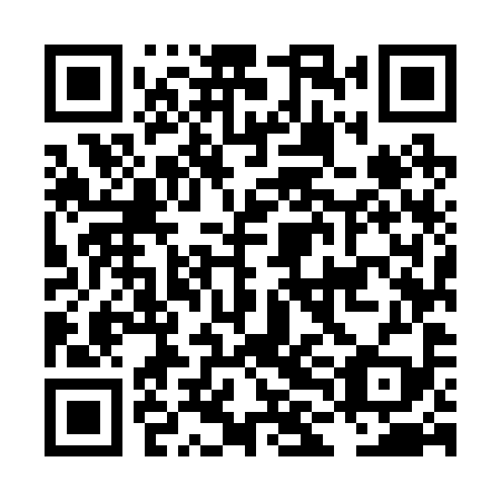 QR code for LLM 299