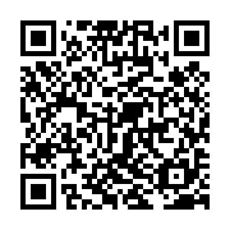 QR code for LLM 495