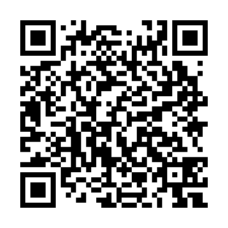 QR code for LMI 338
