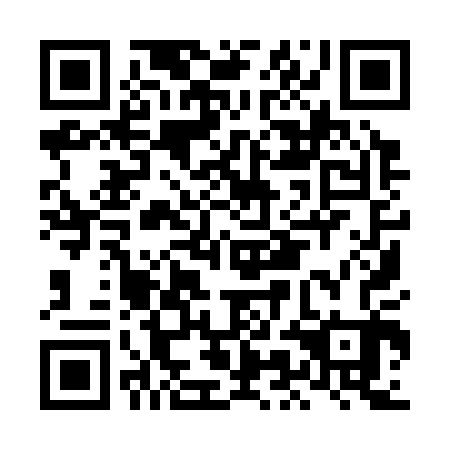 QR code for plate LMI 303