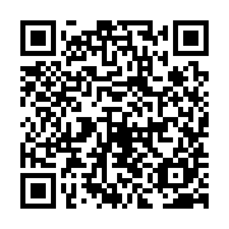 QR code for plate LMK 385