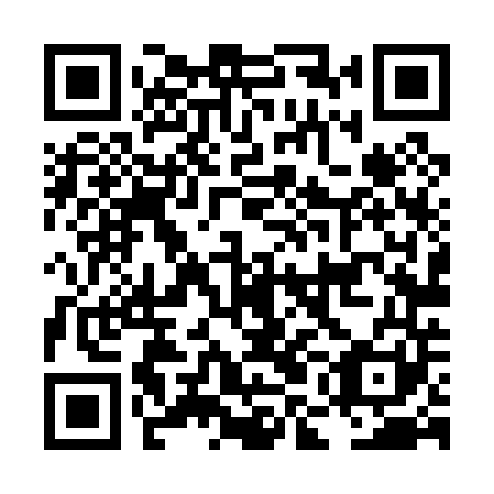 QR code for plate LML 041