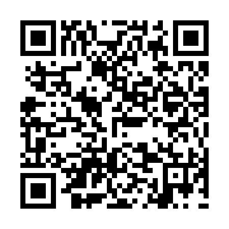 QR code for LMM 295