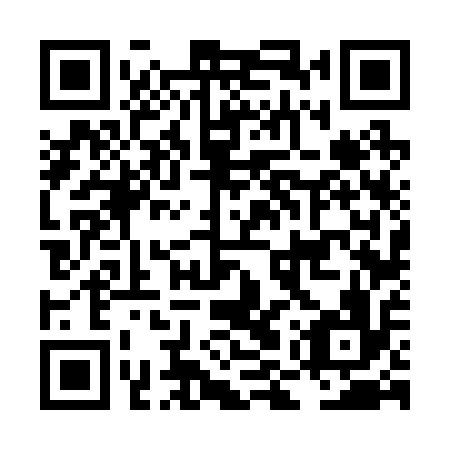 QR code for plate LMV 216