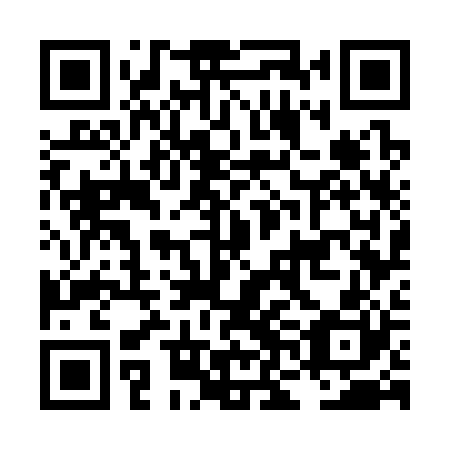 QR code for plate LNG 320