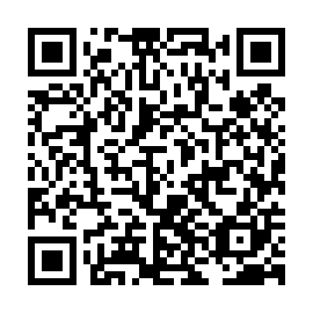 QR code for plate LNM 400