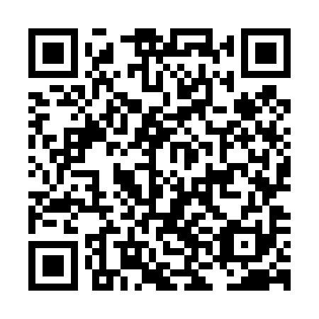 QR code for LNO 491