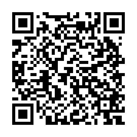 QR code for plate LNP 248