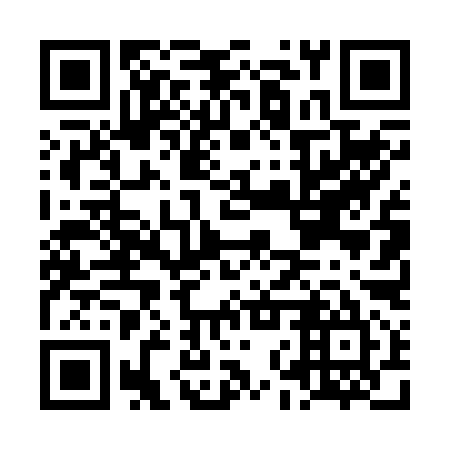 QR code for LNT 295