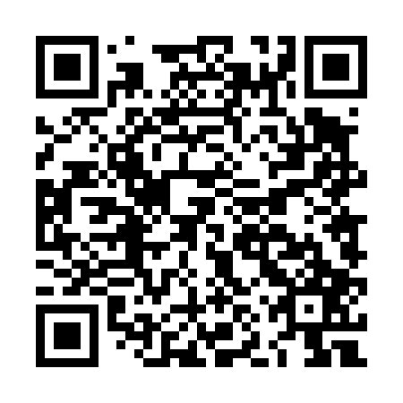 QR code for plate LNT 407