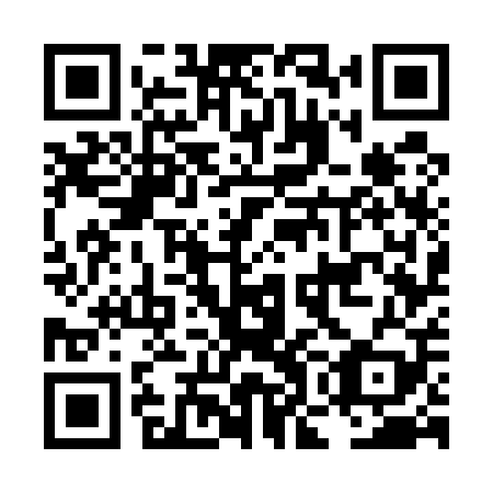 QR code for LOG 509