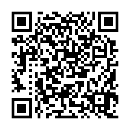 QR code for plate LOI 384