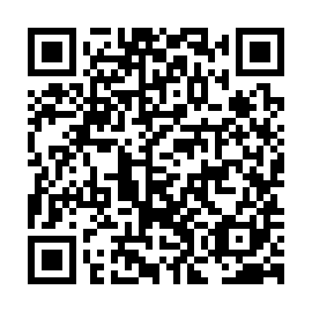QR code for LOK 381