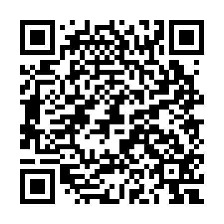 QR code for plate LOP 313