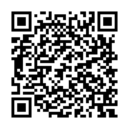 QR code for plate LOU 911