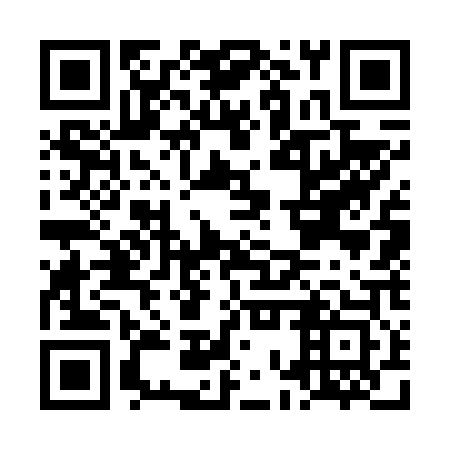 QR code for plate LOW 603