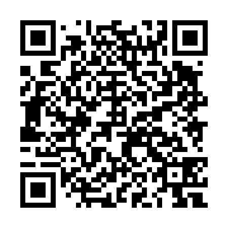 QR code for LOX438