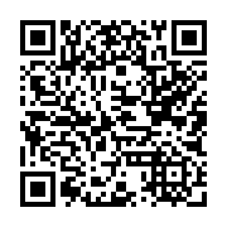 QR code for plate LPO 399