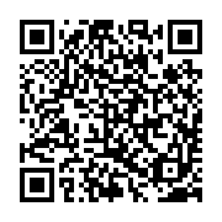 QR code for plate LPR 293