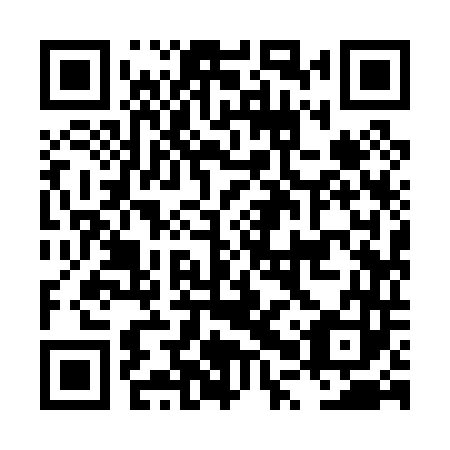 QR code for plate LPY 043