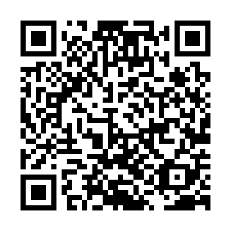 QR code for plate LQL 309