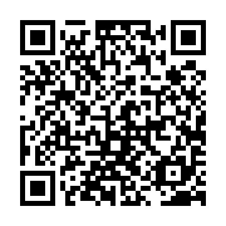QR code for LQT595