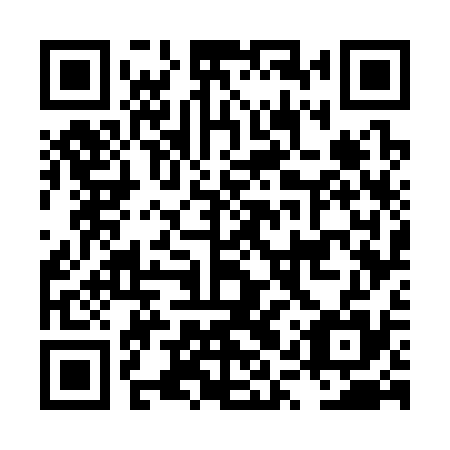 QR code for plate LQW 335