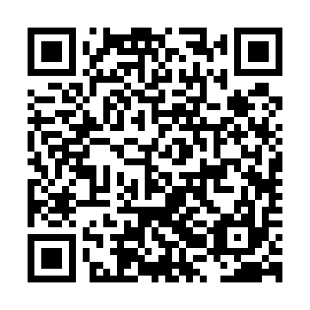 QR code for plate LRB 517