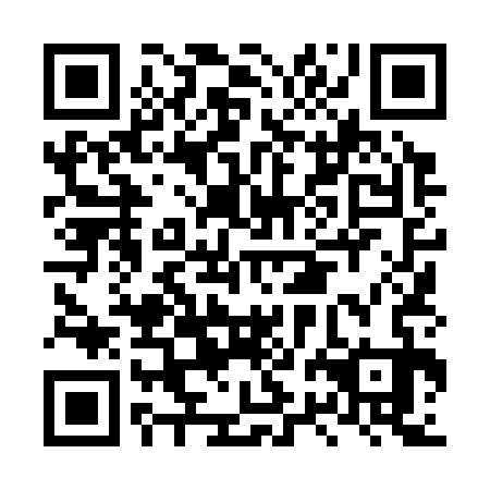 QR code for plate LRL 333