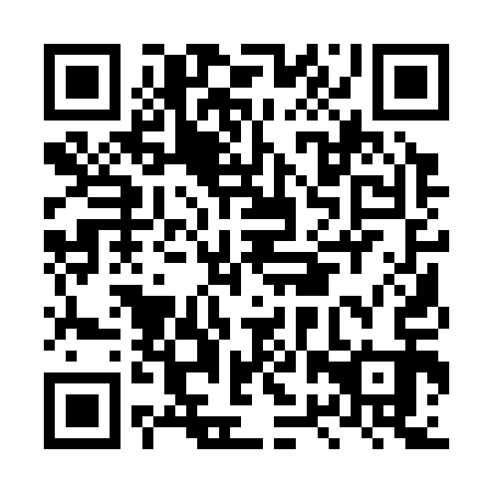 QR code for LRQ 313