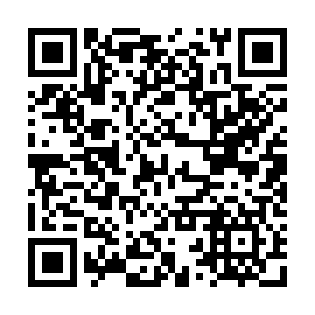 QR code for plate LRQ 307