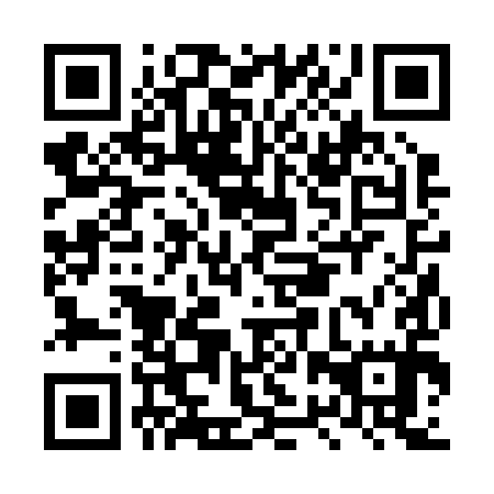 QR code for LRR 295