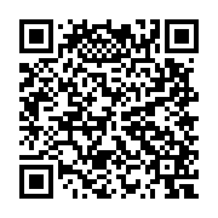 QR code for LSE 541