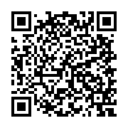 QR code for LSE 595